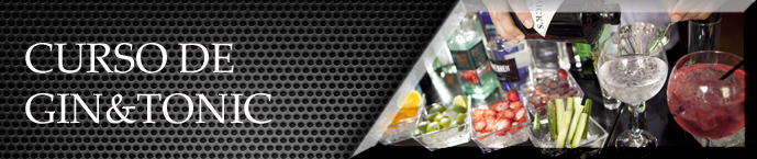 bannercursodegintonic